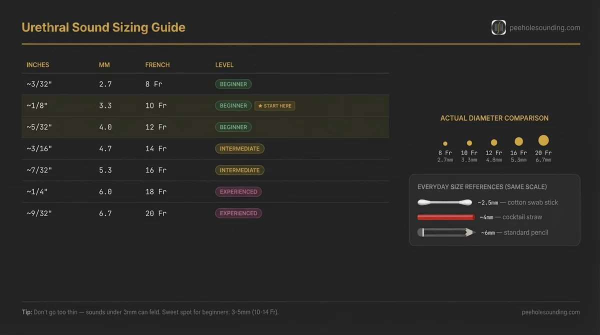 Technical guide showing urethral sound sizes in inches, mm, and French units, with experience levels and visual diameter comparisons to everyday objects.