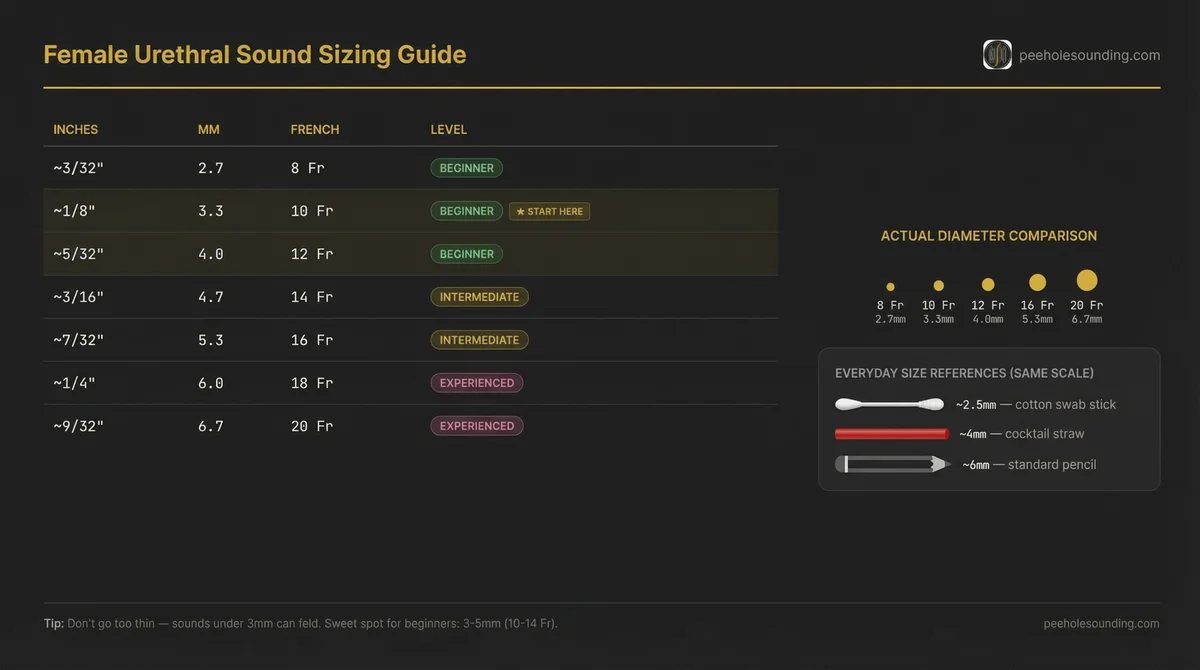 Female urethral sound sizing guide table, listing inches, mm, and French scale with experience levels, actual diameter, and everyday object comparisons.