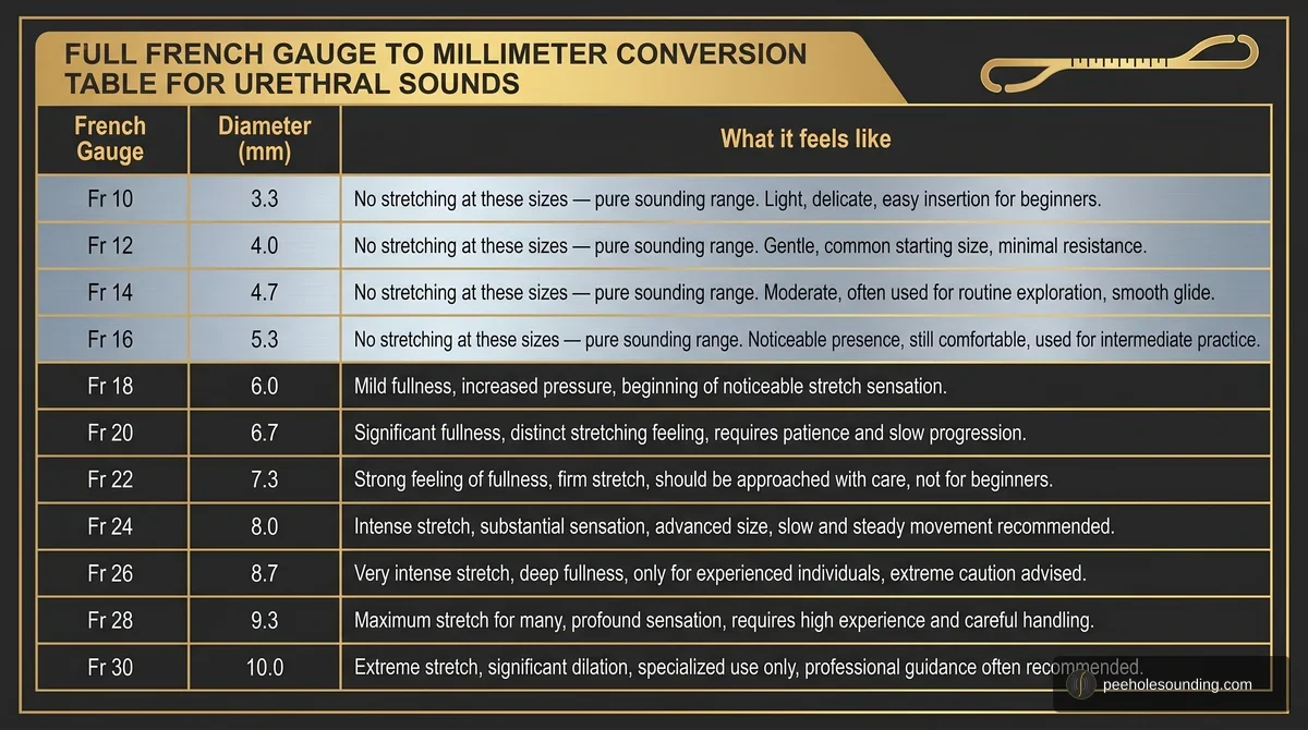 French Gauge to millimeter conversion table for urethral sounds, listing diameter and corresponding sensation descriptions from Fr 10 to Fr 30.